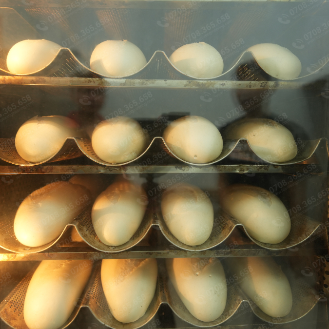 lo nuong doi luu 5 khay 3