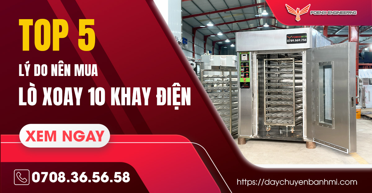 5 ly do nen mua lo nuong banh mi xoay 10 khay dien1