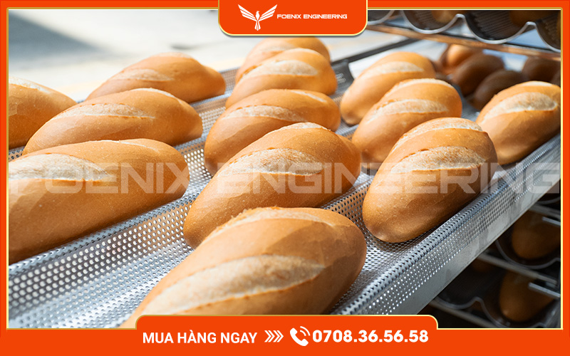 Trọn bộ lò nướng bánh mì 8 khay, 10 khay, 12 khay, 16 khay đáp ứng mọi nhu cầu mở lò bánh mì với chi phí cực tiết kiệm
