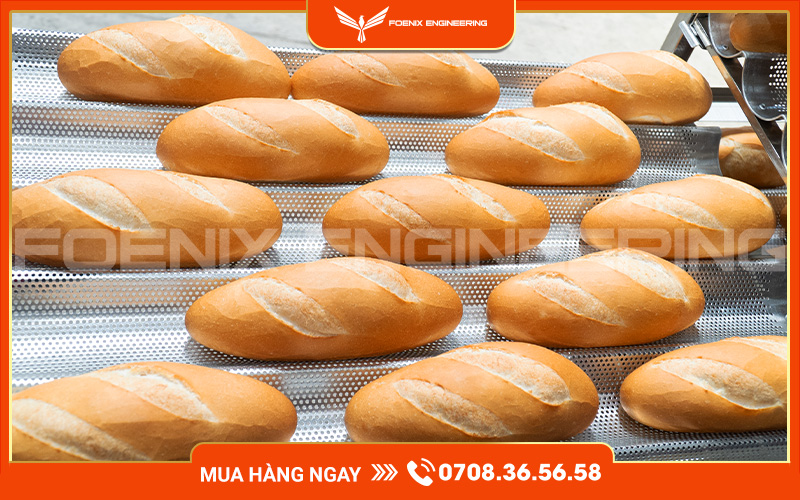 Trọn bộ lò nướng bánh mì 8 khay, 10 khay, 12 khay, 16 khay đáp ứng mọi nhu cầu mở lò bánh mì với chi phí cực tiết kiệm