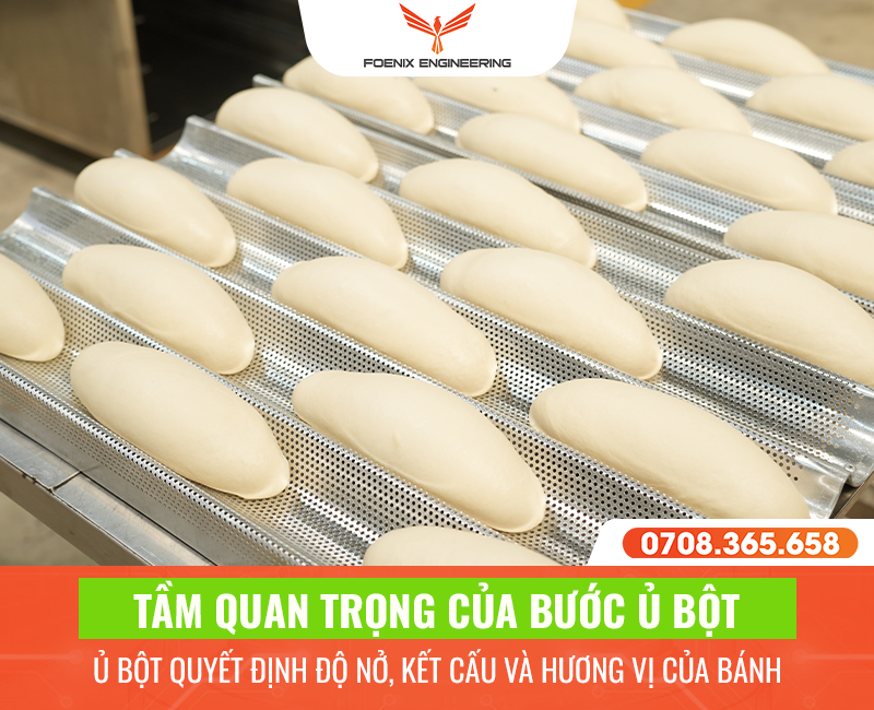 So Sánh Tủ Ủ Bột Không Điện Và Có Điện: Nên Chọn Loại Nào Cho Hiệu Quả Cao Nhất? 2 Có nên mua tủ ủ bột làm bánh mì không?
