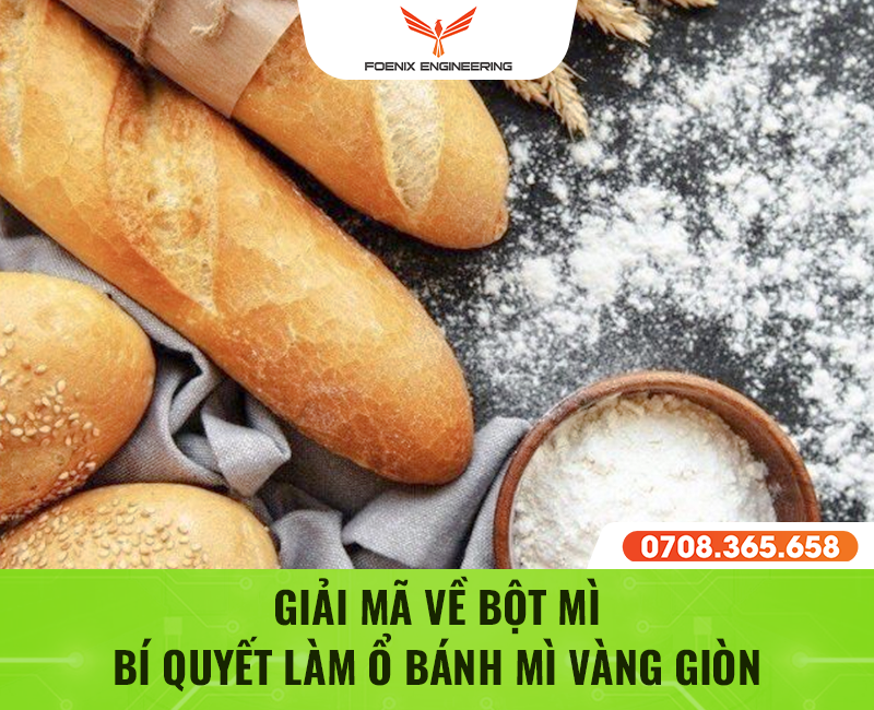 Top 7 các loại bột mì làm bánh thông dụng nhất hiện nay 2 Giải mã về bột mì
