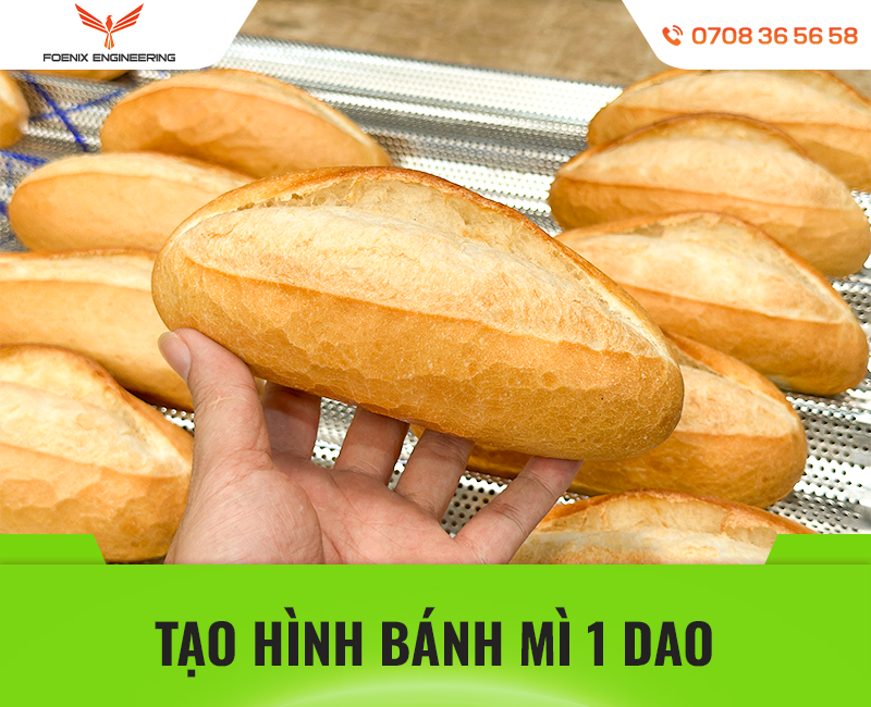 Foenix bao bánh máy vê bột bánh mì làm 1500 ổ xuyên đêm 42 Máy vê tạo hình bánh mì 1 dao chuẩn đẹp
