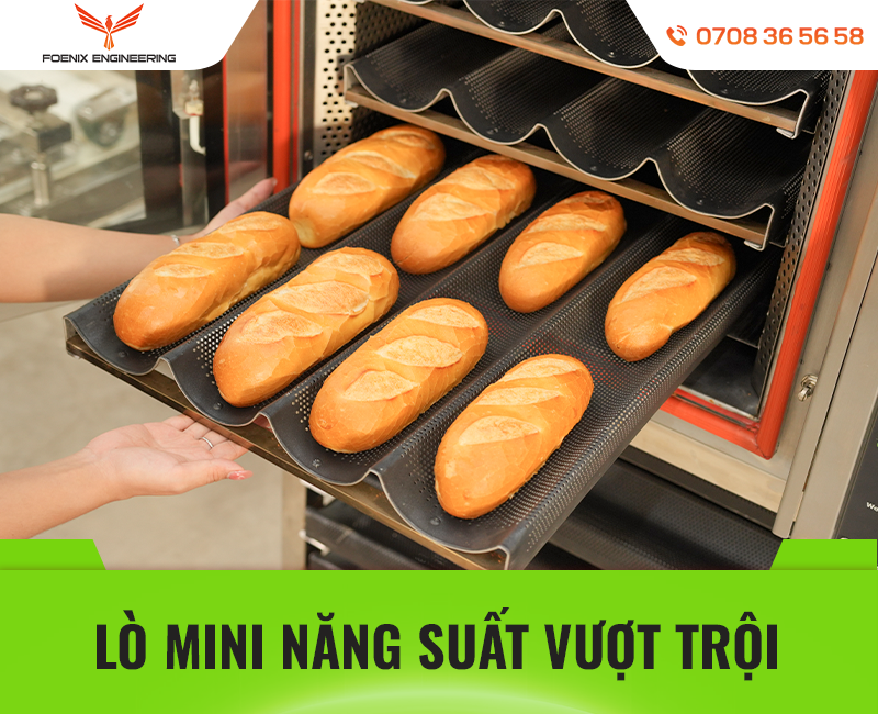 Lò nướng đối lưu năng suất cao